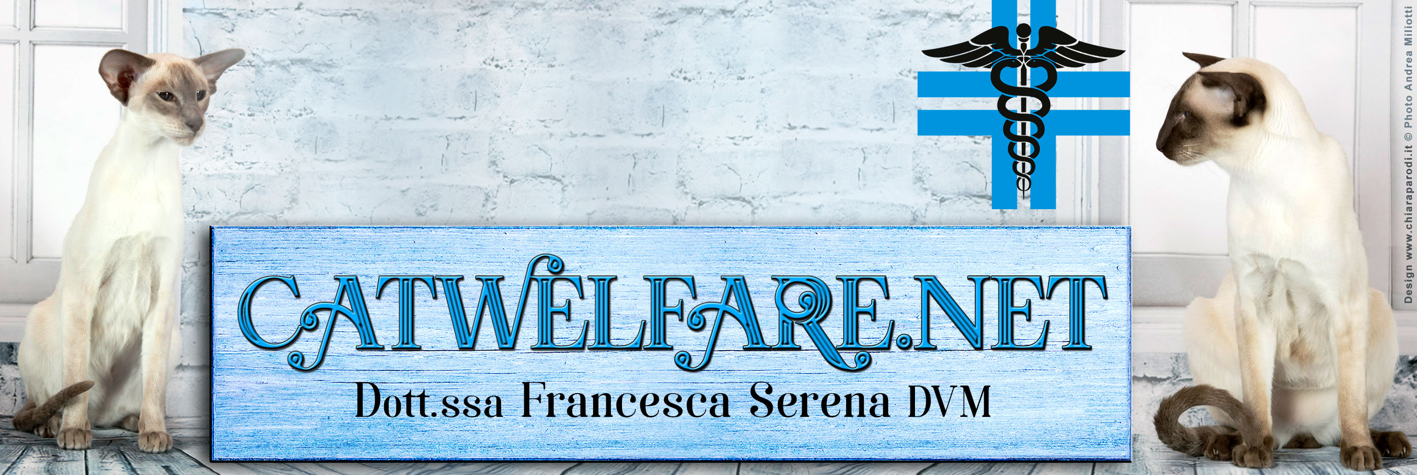 CATWELFARE.NET Dottoressa Francesca Serena DVM medico veterinario comportamentalista